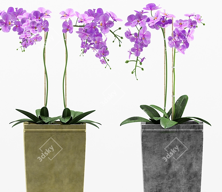 Floral 3D Orchids Set 3D model image 2