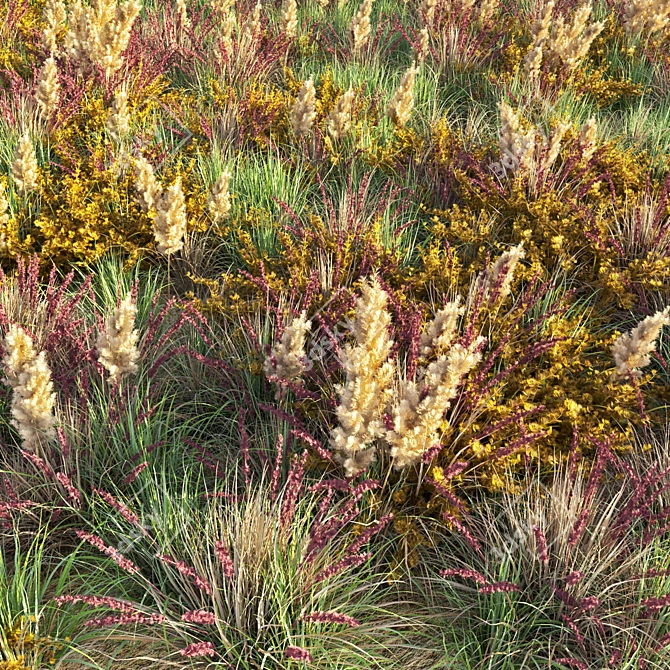 Dryland Oasis - 6 Plants 3D model image 1