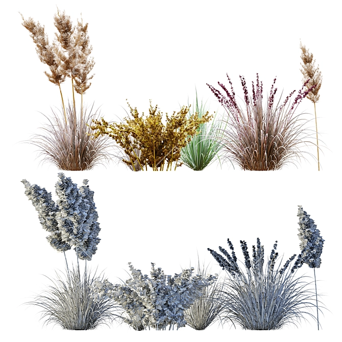 Dryland Oasis - 6 Plants 3D model image 2