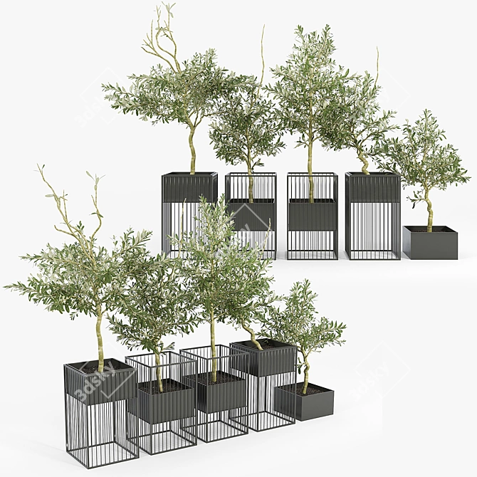 Elegant Olea Plant Stand: Polys: 1 276 906 3D model image 1