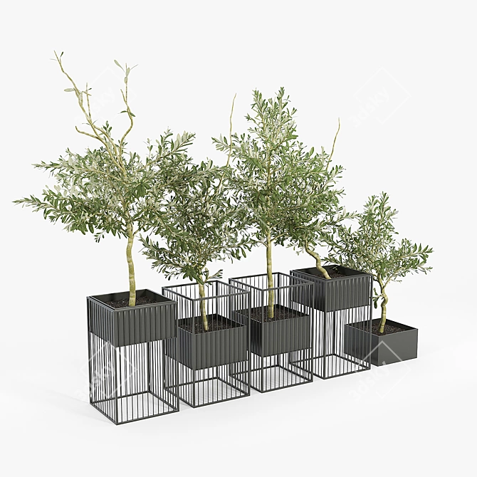 Elegant Olea Plant Stand: Polys: 1 276 906 3D model image 4