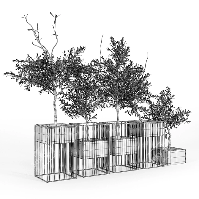 Elegant Olea Plant Stand: Polys: 1 276 906 3D model image 5