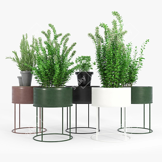 Round Plant Box: Versatile & Beautiful 3D model image 2