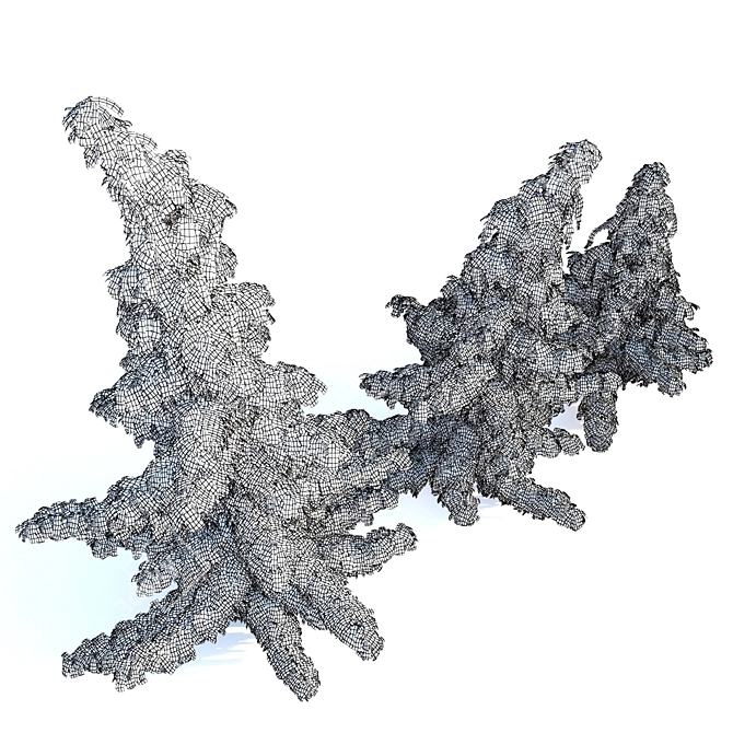 Nootka Cypress: Polys 1,422,929 3D model image 5
