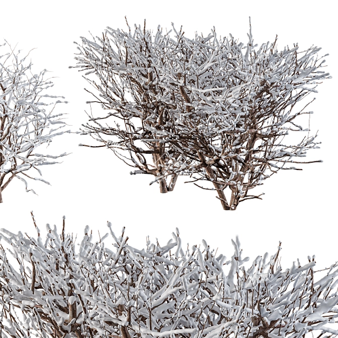  Winter Wonderland Snow Bush Set 3D model image 1