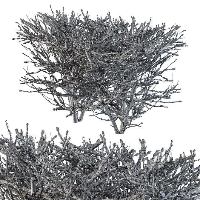  Winter Wonderland Snow Bush Set 3D model image 5
