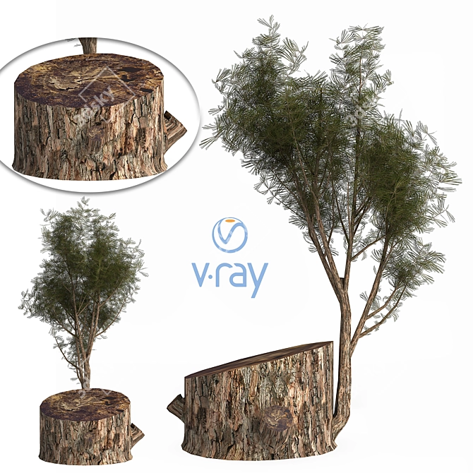 Pine03: Versatile 3D Model – 2013 Edition 3D model image 1