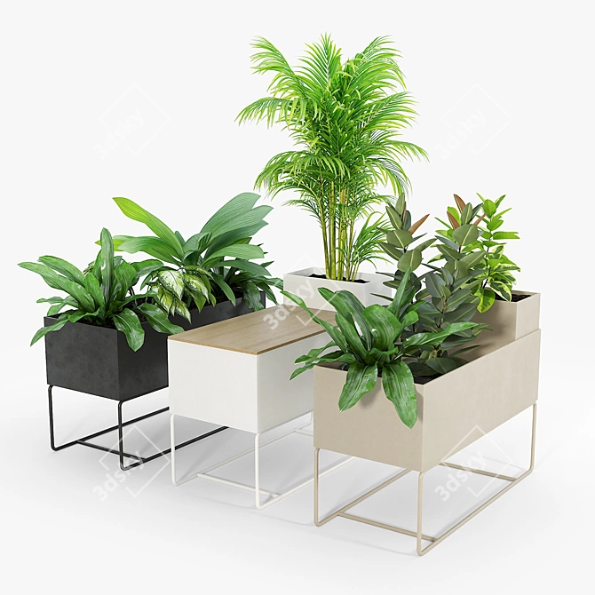 Premium Plant Box for Large Spaces 3D model image 3