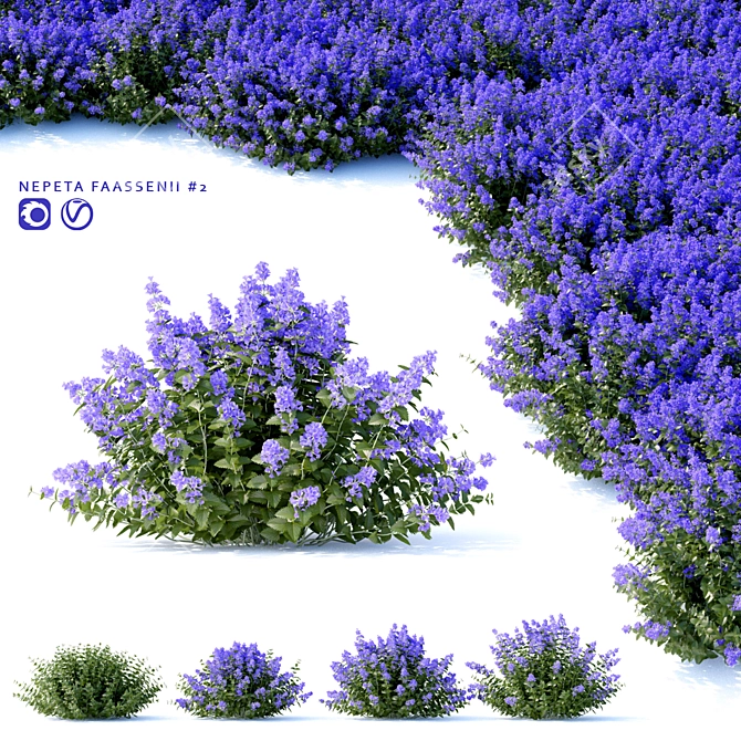 Nepeta Fassenii Catcher | Unique Garden Ornament 3D model image 1