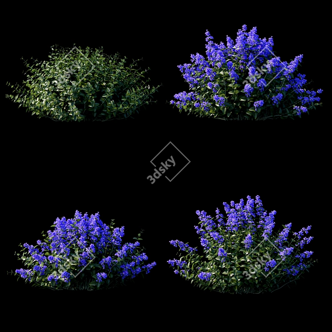 Nepeta Fassenii Catcher | Unique Garden Ornament 3D model image 3