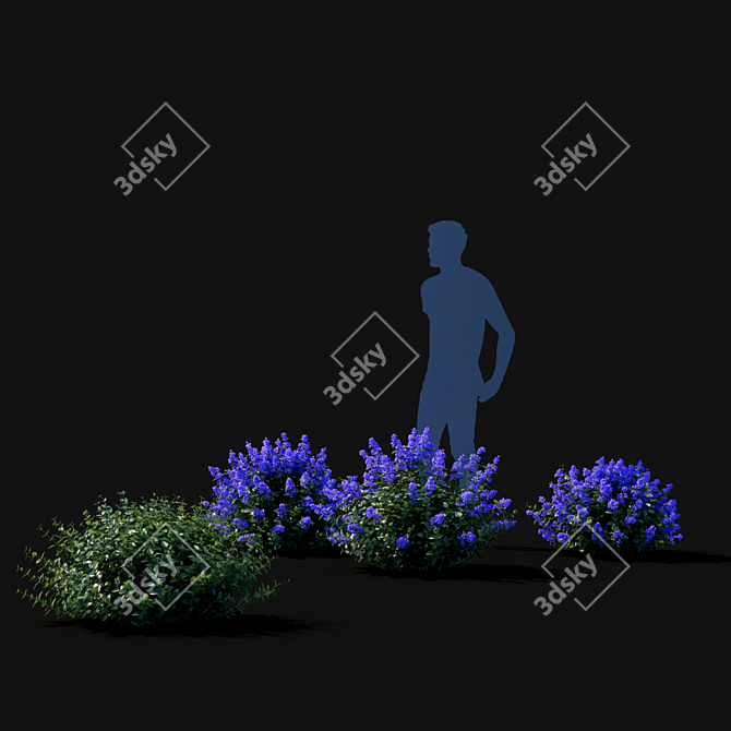 Nepeta Fassenii Catcher | Unique Garden Ornament 3D model image 4