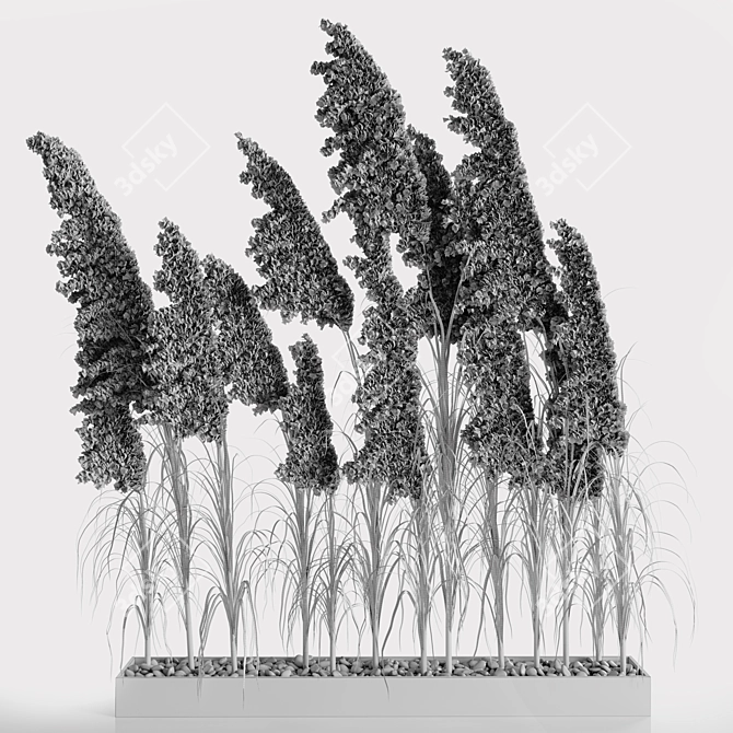 Exquisite Pampas Grass Bundle 3D model image 5