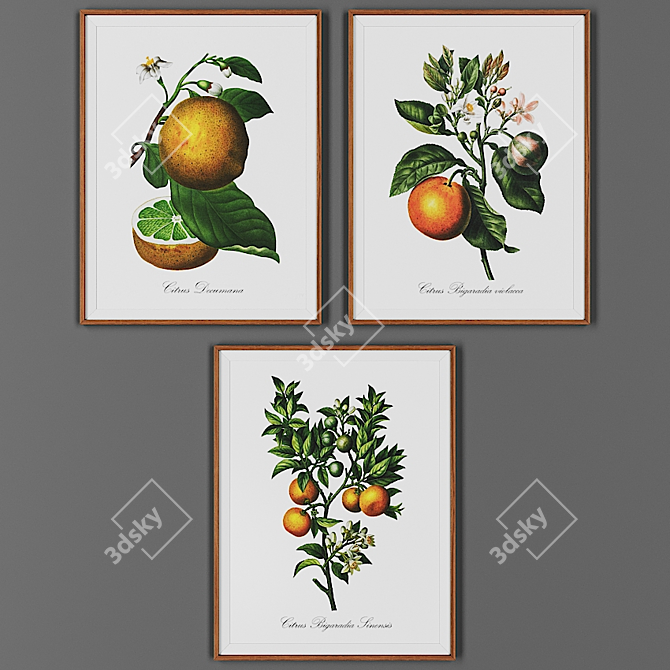 Vintage Wooden Frame Set (3 Pieces) 3D model image 1