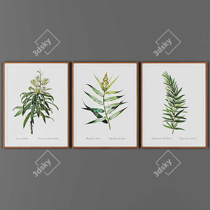 Wooden Framed Picture Collection 3D model image 1