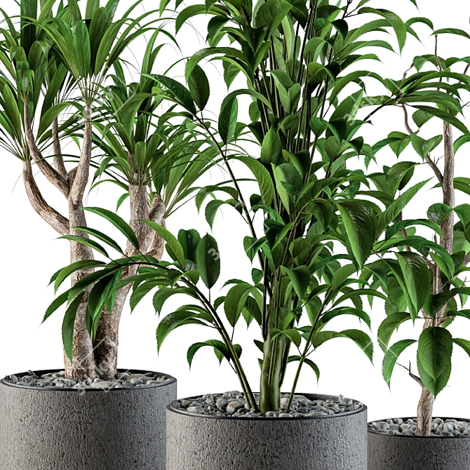Stylish Indoor Plant Set 3D model image 2
