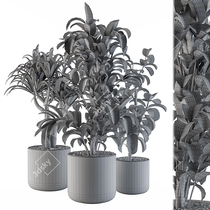 Stylish Indoor Plant Set 3D model image 3