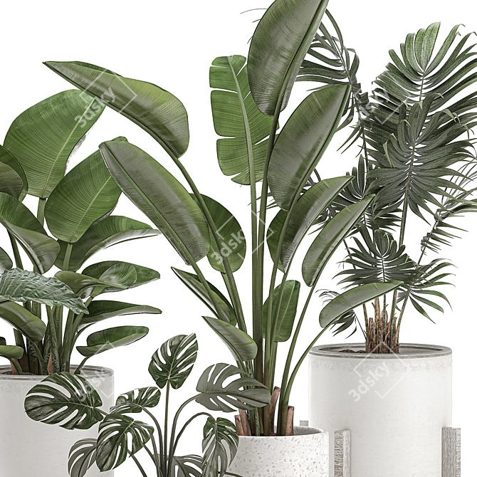 Tropical Indoor Plant Collection 3D model image 4