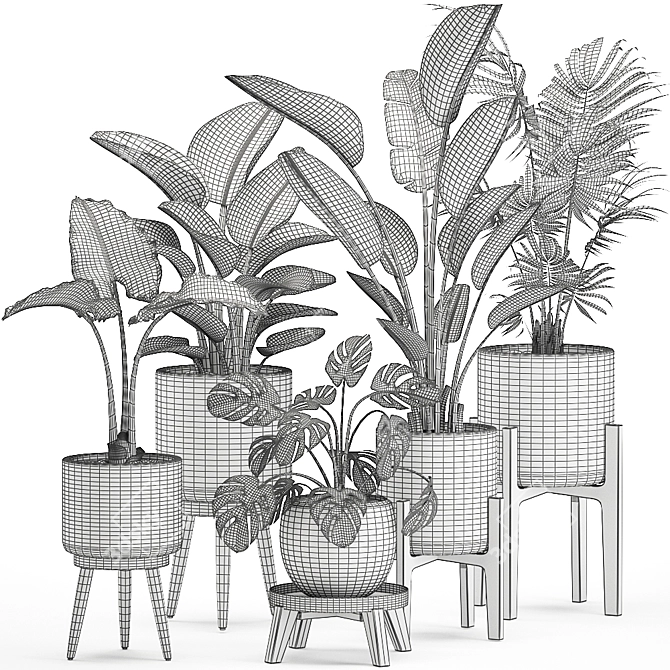 Tropical Indoor Plant Collection 3D model image 5