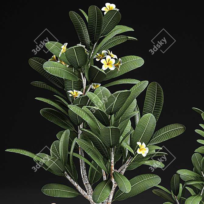 Tropical Plant Paradise 3D model image 2