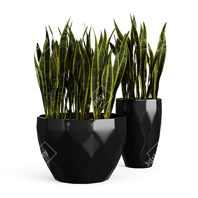 Sansevieria Snake Plant: Black Pot Elegance 3D model image 2