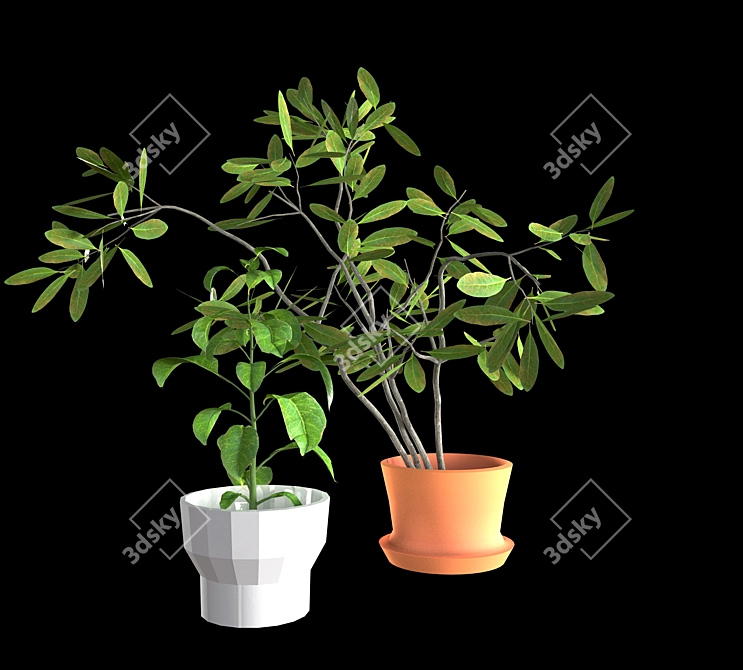 Green Oasis: Kitchen Indoor Plant 3D model image 1