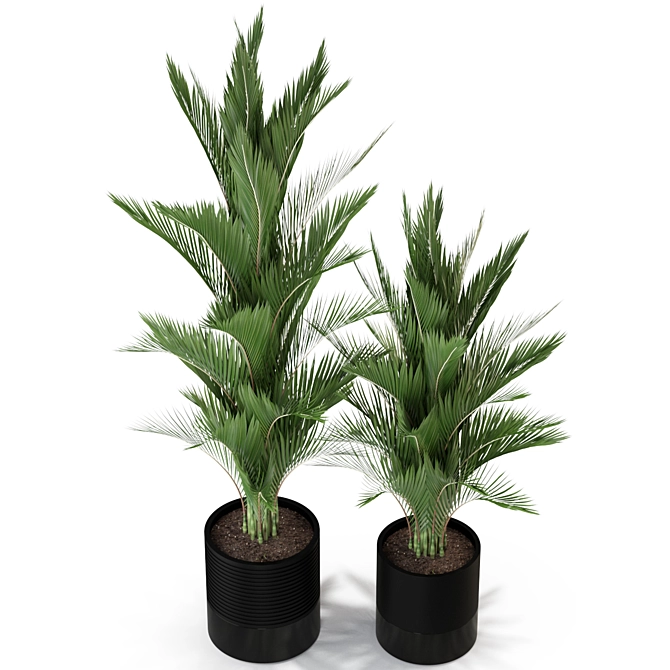 Botanical Bliss: 296 Plant Collection 3D model image 2