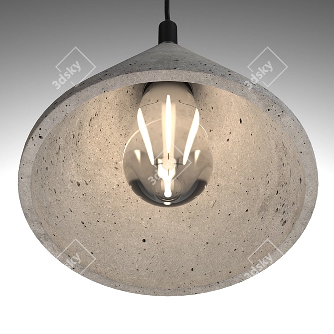 Bentu Design Zhong Pendant + LED - Black & Aluminum. 3D model image 3