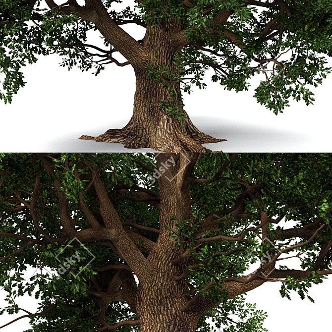  Majestic Oak Tree Sculpture 3D model image 4