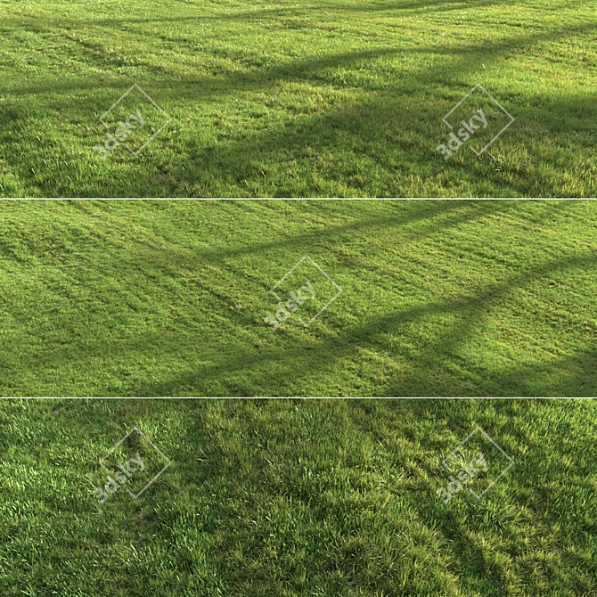 Lush Green Summer Grass 3D model image 1