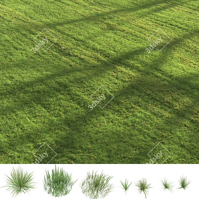 Lush Green Summer Grass 3D model image 3