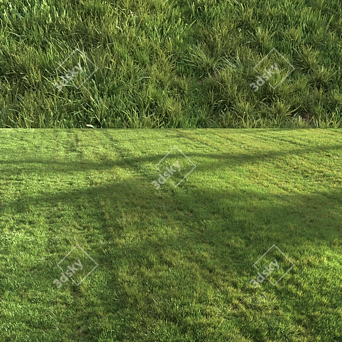 Lush Green Summer Grass 3D model image 4