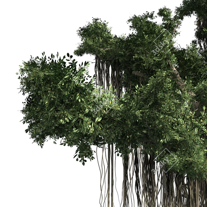 Exquisite Chinese Banyan Tree 3D model image 2