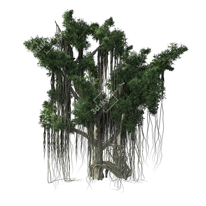 Exquisite Chinese Banyan Tree 3D model image 3