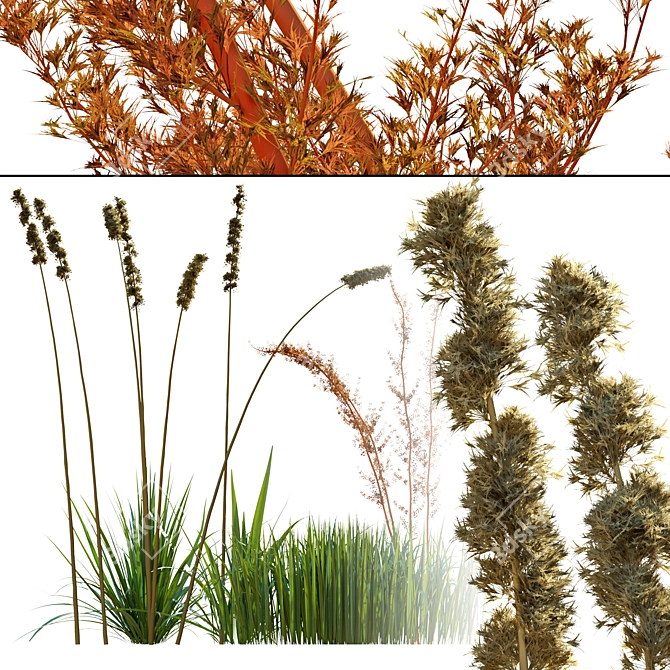 Grassland Oasis: 5 Plant Types 3D model image 2