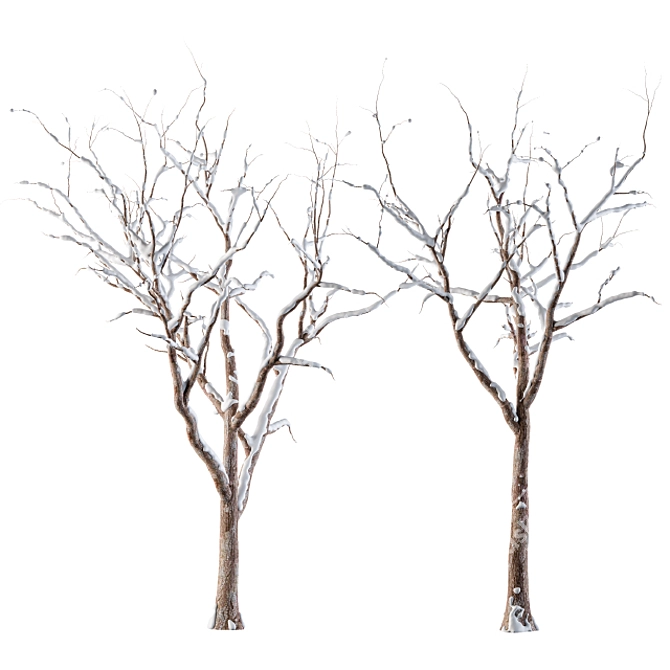 Frozen Forest - Snowy Wonderland 3D model image 2