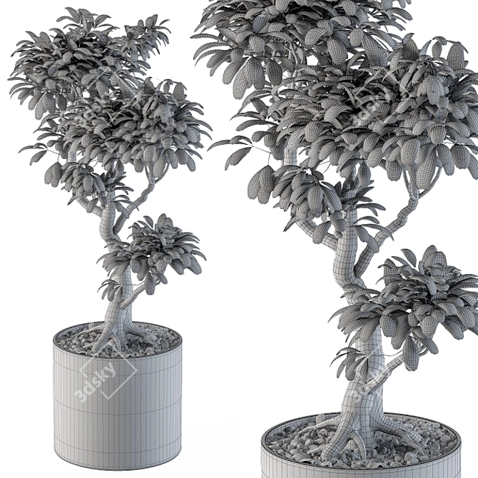 Indoor Bonsai Tree: Large and Lovely 3D model image 3