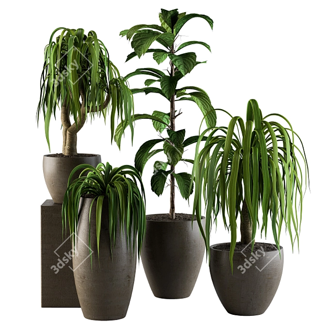 42-Piece Hanging Indoor Plants Set 3D model image 1