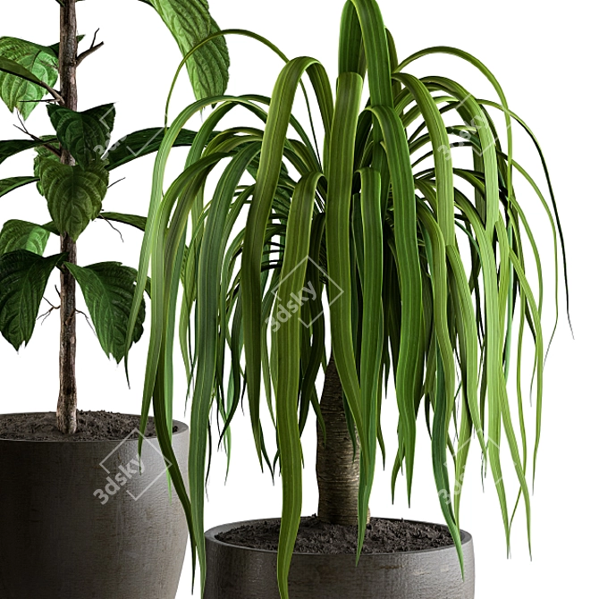 42-Piece Hanging Indoor Plants Set 3D model image 2