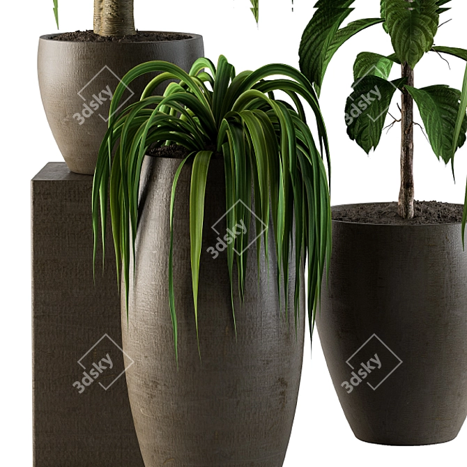 42-Piece Hanging Indoor Plants Set 3D model image 4