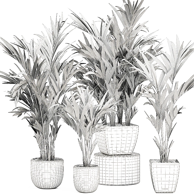 Tropical Palm Collection in White Pots 3D model image 5