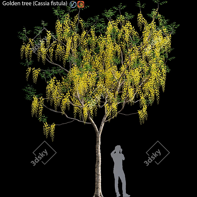 Golden Tree 3D Model - Cassia Fistula 3D model image 1