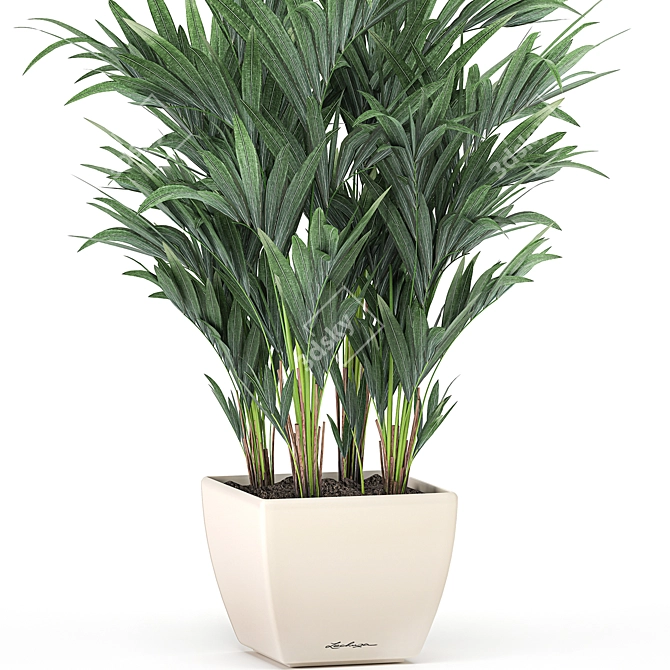 Tropical Palm Trio in White Pots 3D model image 2