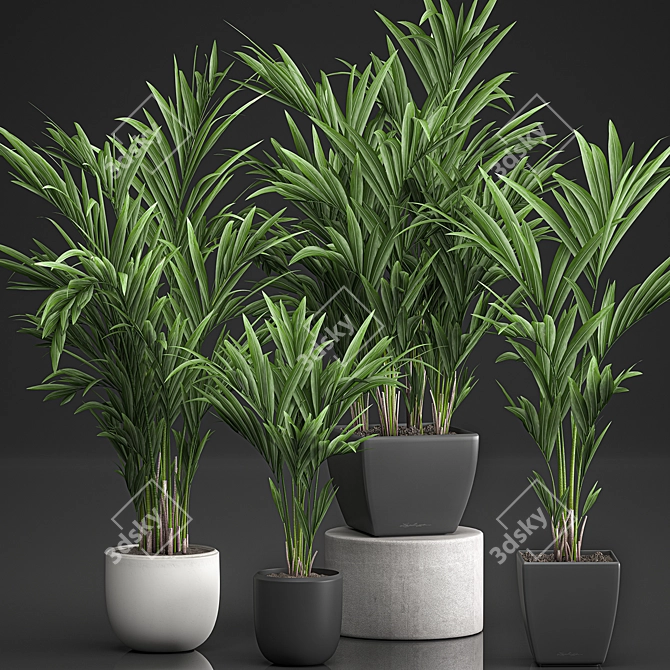 Tropical Palm Collection | Exotic & Stylish 3D model image 1