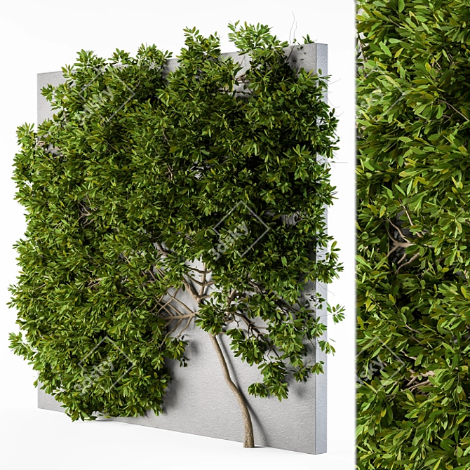 Lush Green Ivy Wall Plants 3D model image 1