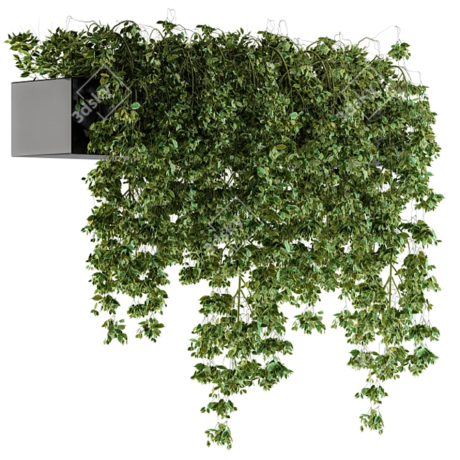 Lush Hanging Ivy in Pot 3D model image 1