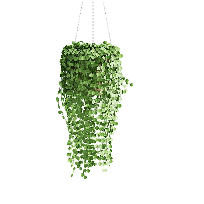 Coin Strings Hanging Plants 3D model image 4