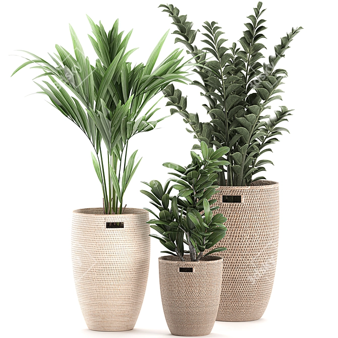 Exotic Indoor Plant Collection 3D model image 4