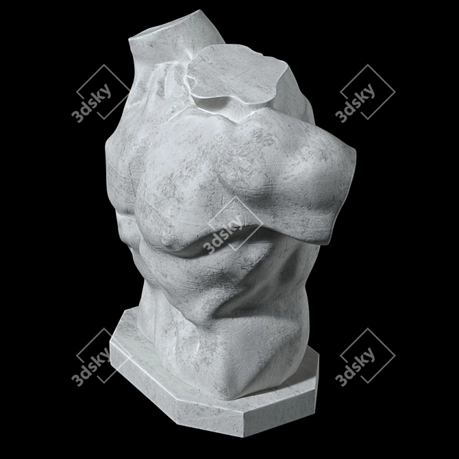 Title: Laocoon Torso Sculpture - Timeless Elegance 3D model image 2