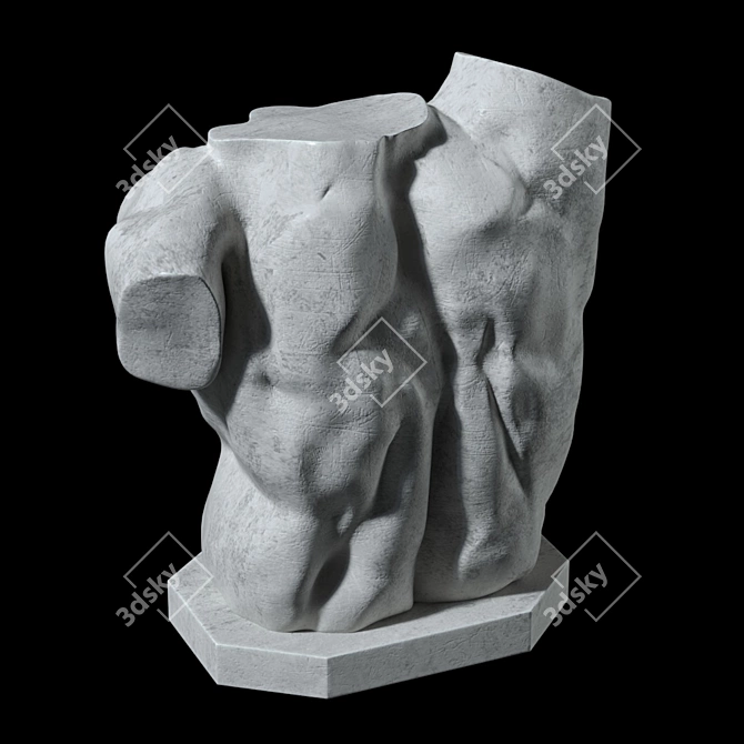 Title: Laocoon Torso Sculpture - Timeless Elegance 3D model image 3