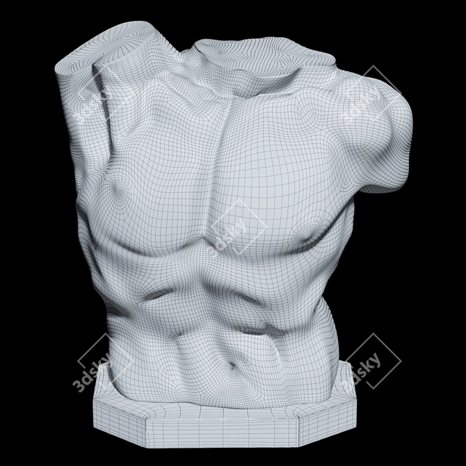 Title: Laocoon Torso Sculpture - Timeless Elegance 3D model image 4